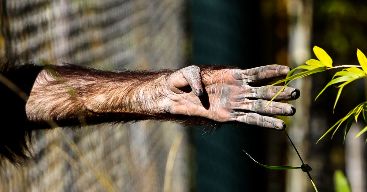 THINK INC. THURSDAYS #013