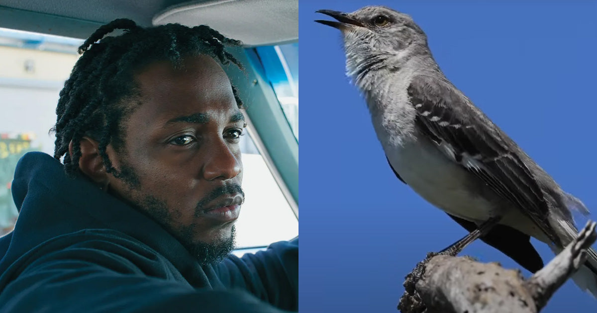 THINK INC. THURSDAYS #018